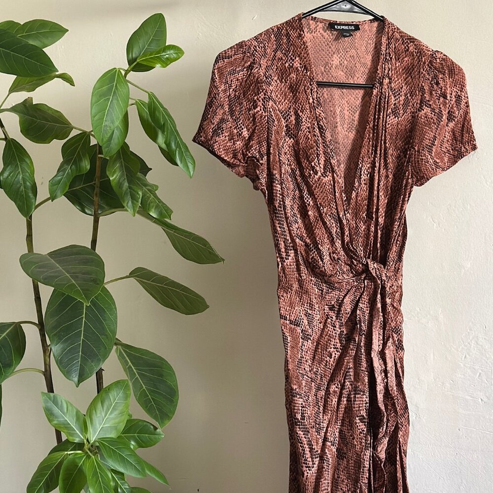 Leopard Print Maxi Dress